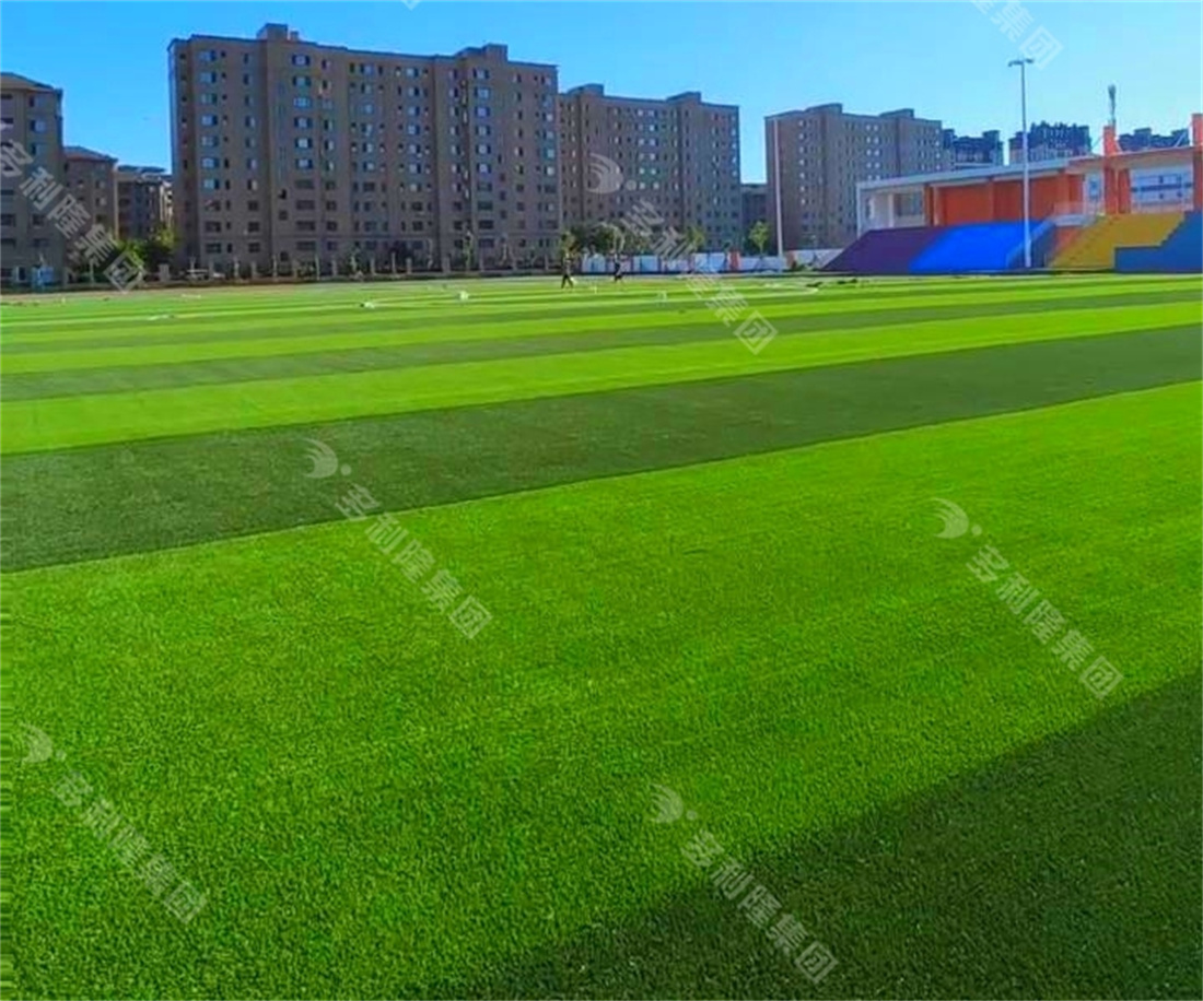 多利隆免充砂足球草，多利隆地彈坪